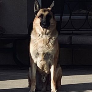 Meet your Posher, Louise